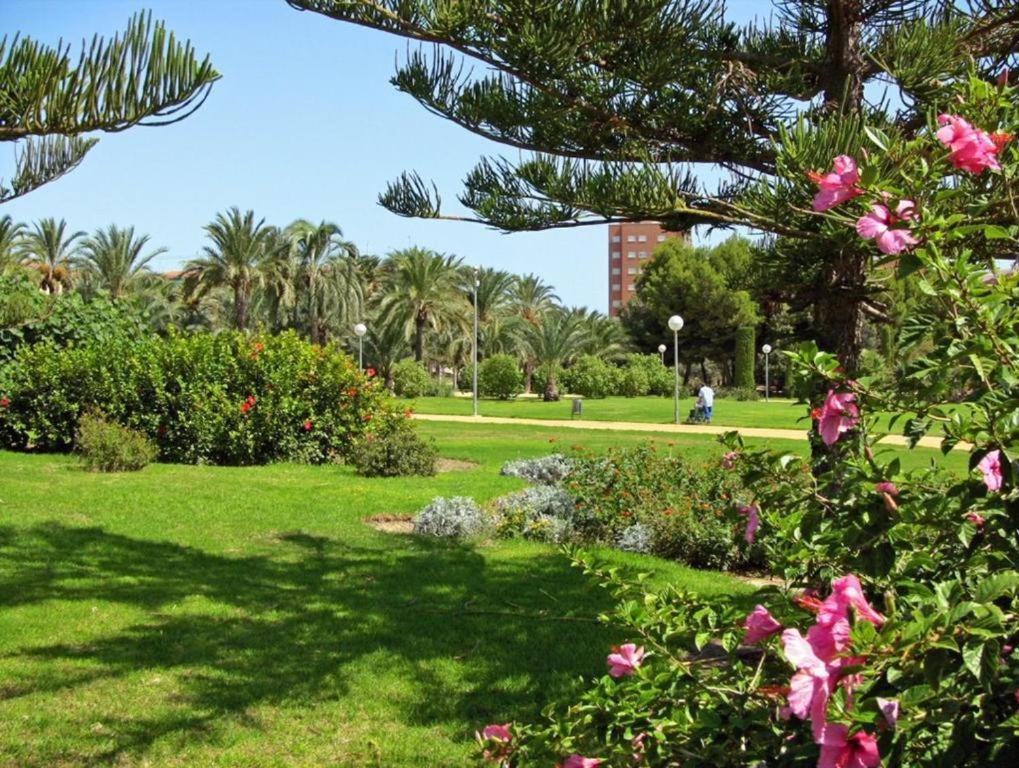10-46-1- Комната В Квартире Для 4 Человек В Аликанте Alicante Exterior foto